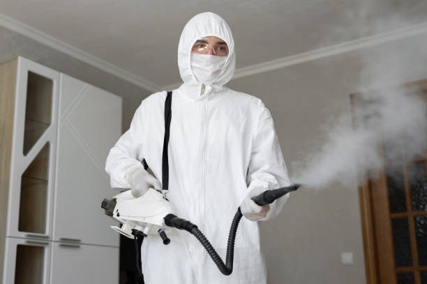 Why You Should Choose Our Mold Remediation Services in Umatilla, FL